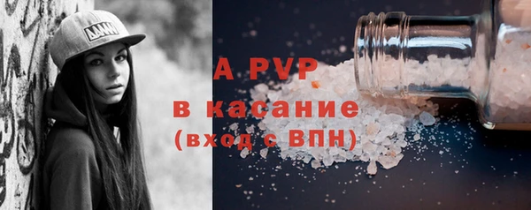 хмурый Абаза