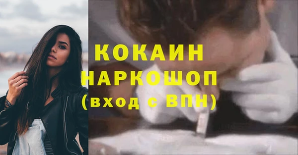 хмурый Абаза