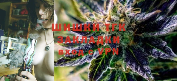хмурый Абаза