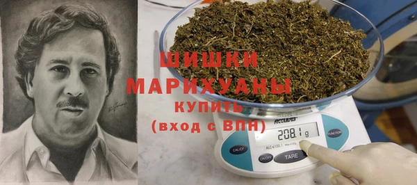 хмурый Абаза