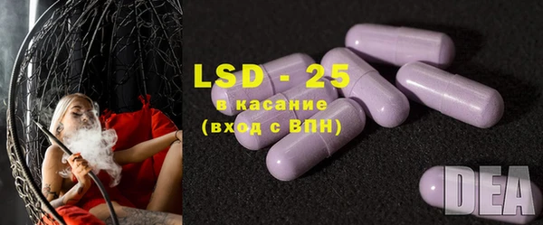 хмурый Абаза