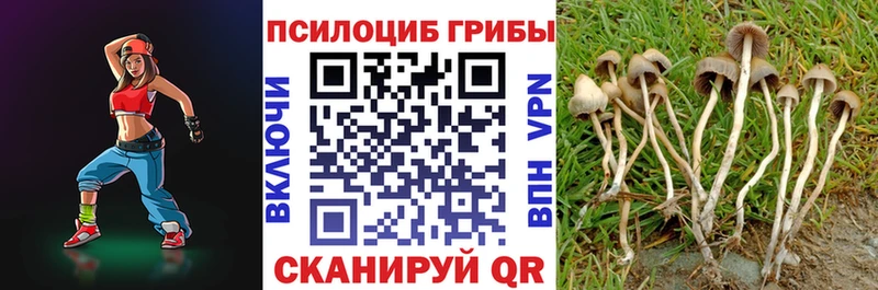 кракен маркетплейс Благовещенск Псилоцибиновые грибы GOLDEN TEACHER