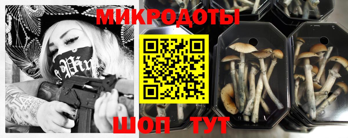 Галлюциногенные грибы Psilocybe Благовещенск