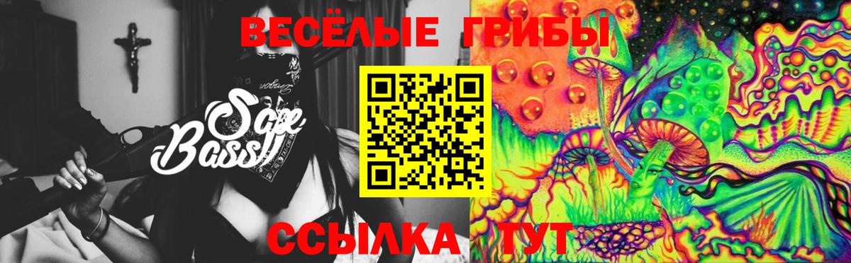 Галлюциногенные грибы Psilocybe  Вход с VPN  Благовещенск 